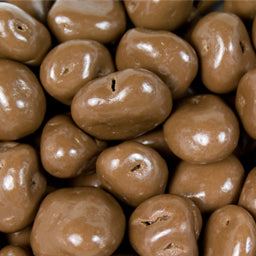 Chocolate Covered Raisins